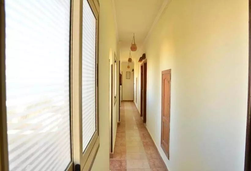 Dolphin Hotel Safaga