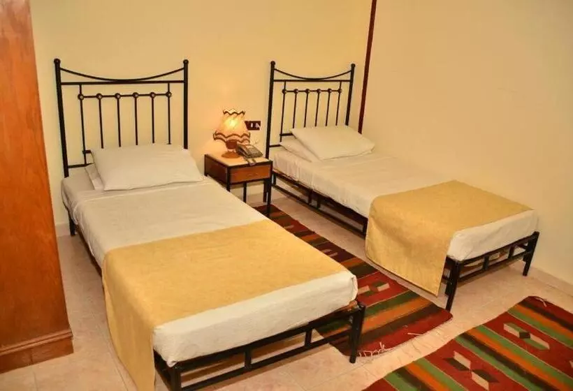 Dolphin Hotel Safaga