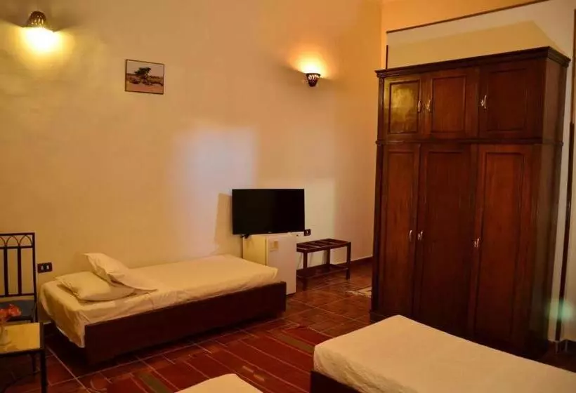 Dolphin Hotel Safaga