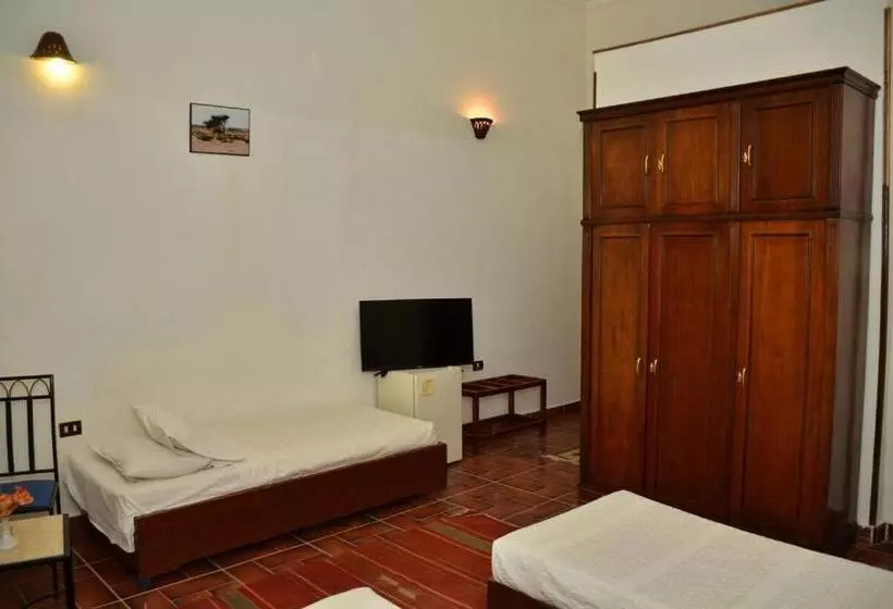 Dolphin Hotel Safaga