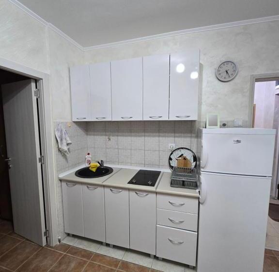 پانسیون Apartman Turkovic