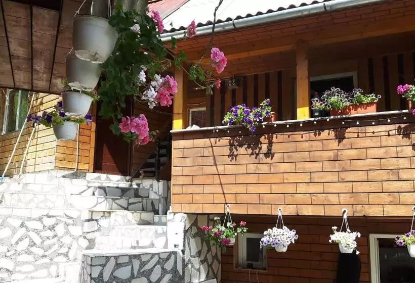 ペンション Casa Manu