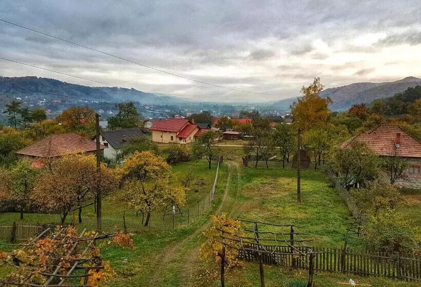Majatalo Sus In Deal