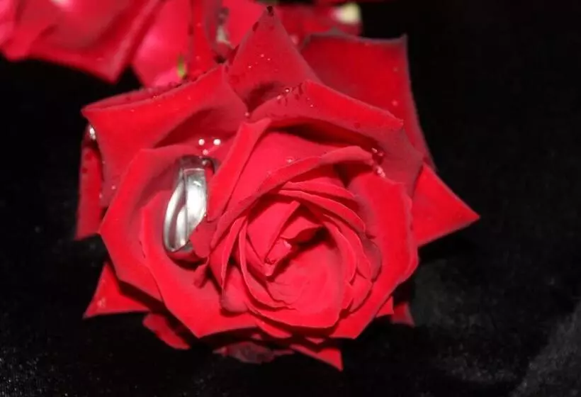 ベッドアンドブレックファースト La Parenthèse