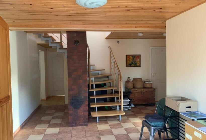 پانسیون Artless #2