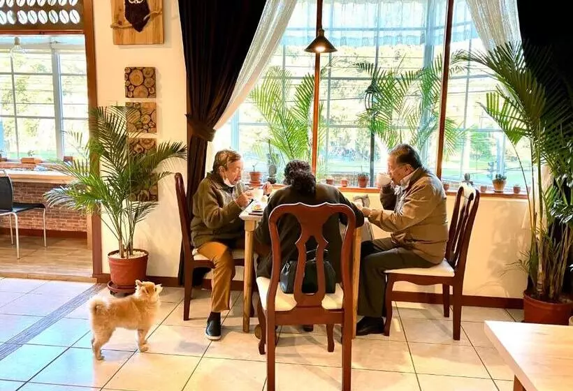هاستل Quito Terrace