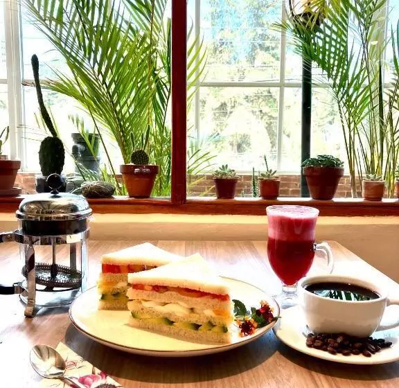 هاستل Quito Terrace