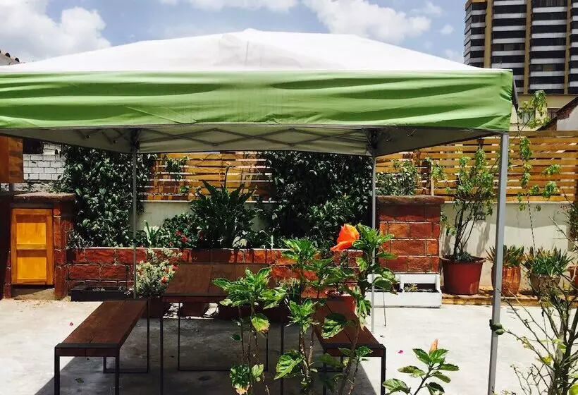 هاستل Quito Terrace