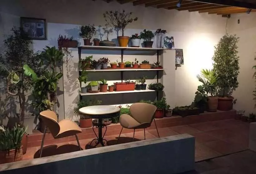 هاستل Quito Terrace