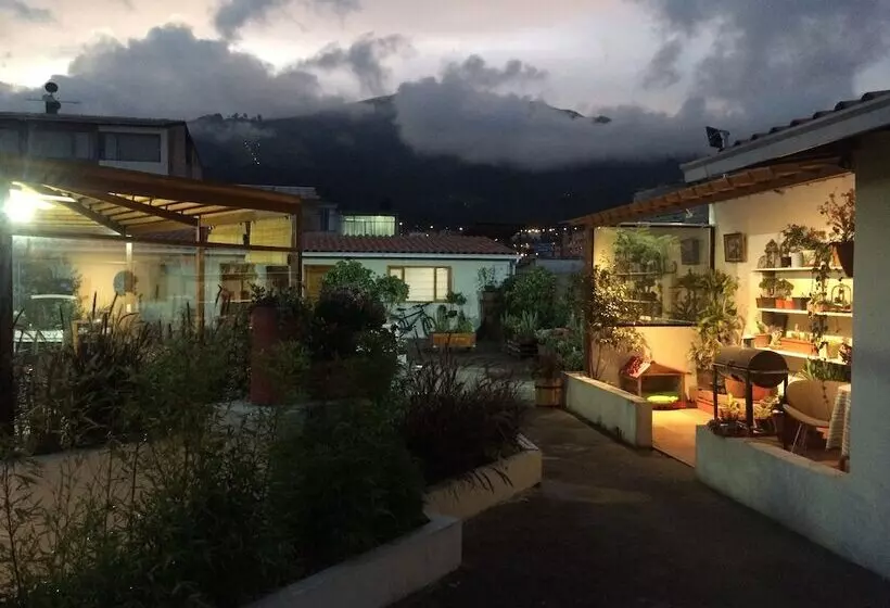 هاستل Quito Terrace