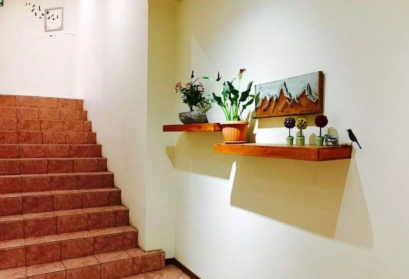 هاستل Quito Terrace
