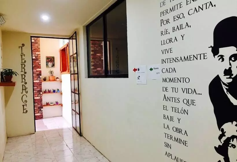 هاستل Quito Terrace