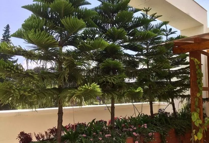 هاستل Quito Terrace