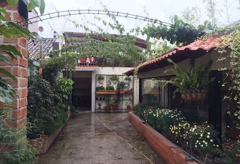 هاستل Quito Terrace