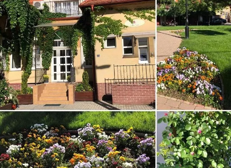 Aamiaismajoitus (B&B) Tulipán Villa Panzió