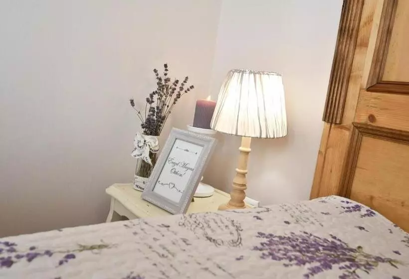 Aamiaismajoitus (B&B) Tulipán Villa Panzió