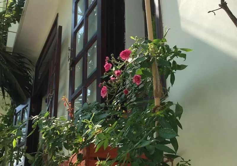 هتل Birdnests
