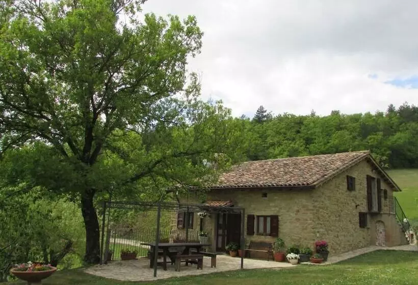 Aamiaismajoitus (B&B) Le Querce Di Campolungo