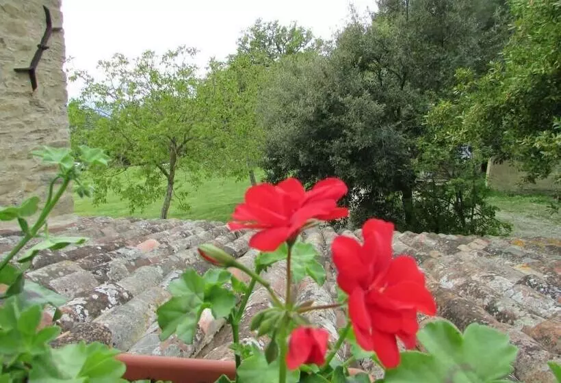 Aamiaismajoitus (B&B) Le Querce Di Campolungo