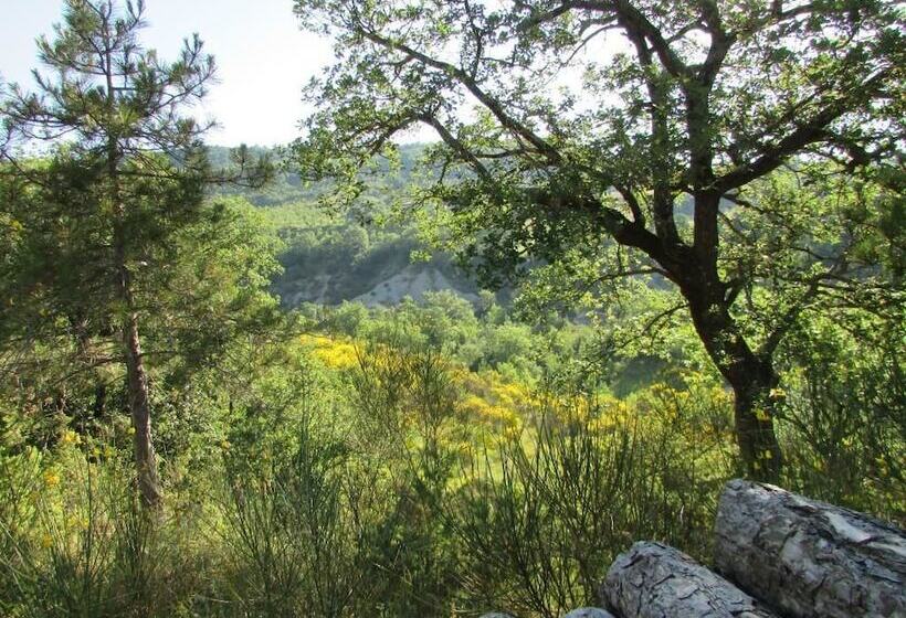 住宿加早餐 Le Querce Di Campolungo