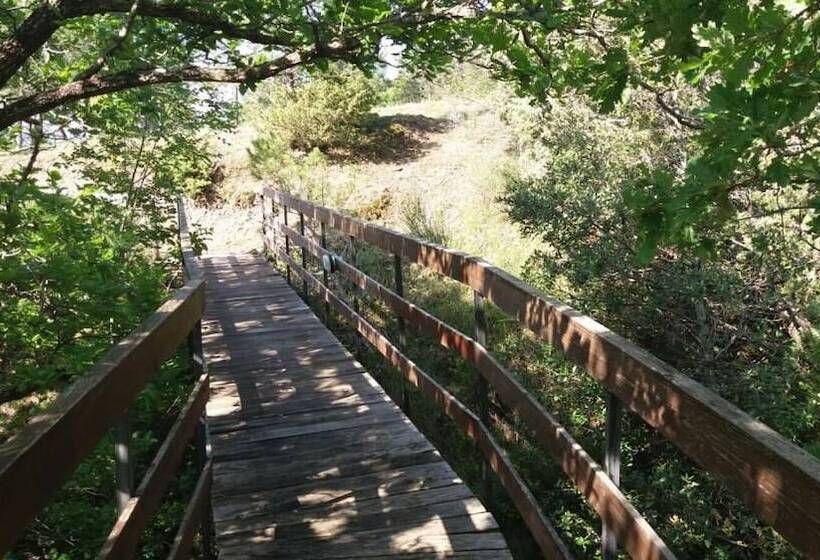 住宿加早餐 Le Querce Di Campolungo