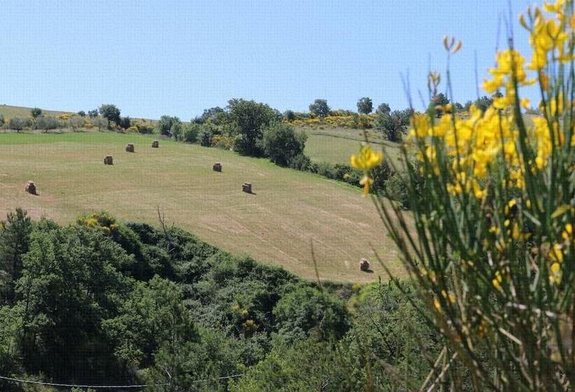 住宿加早餐 Le Querce Di Campolungo