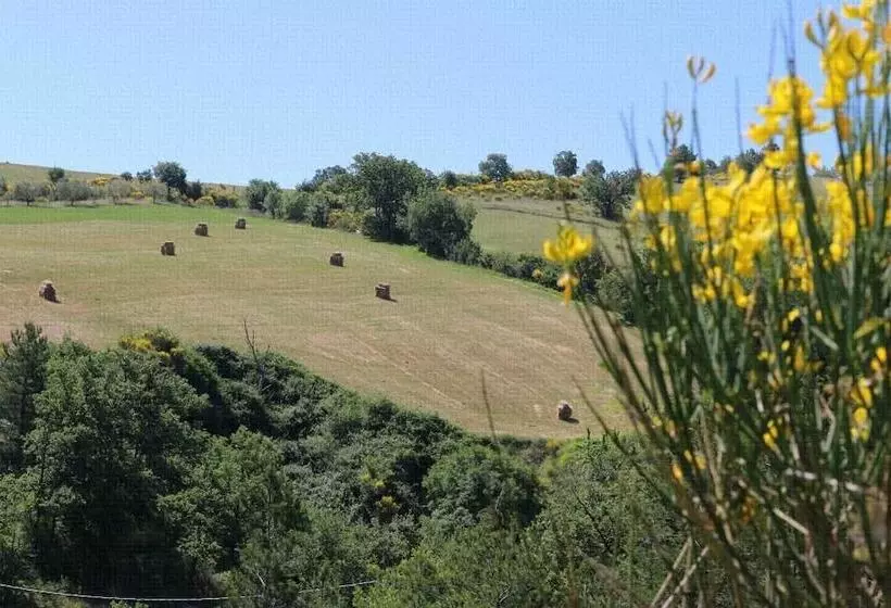 Aamiaismajoitus (B&B) Le Querce Di Campolungo