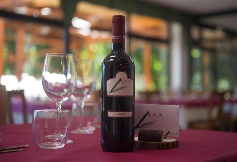 Отель Sancamillo