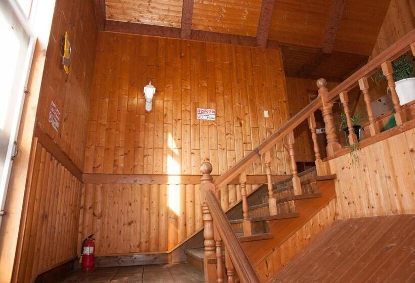 هتل Sunrise Pension