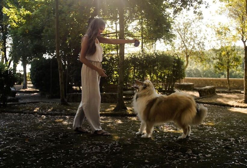 Isa Residence With Pool And Private Beach In Talamone Just 500 Mt From The Beach