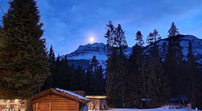 فندق Grizzly Lodge