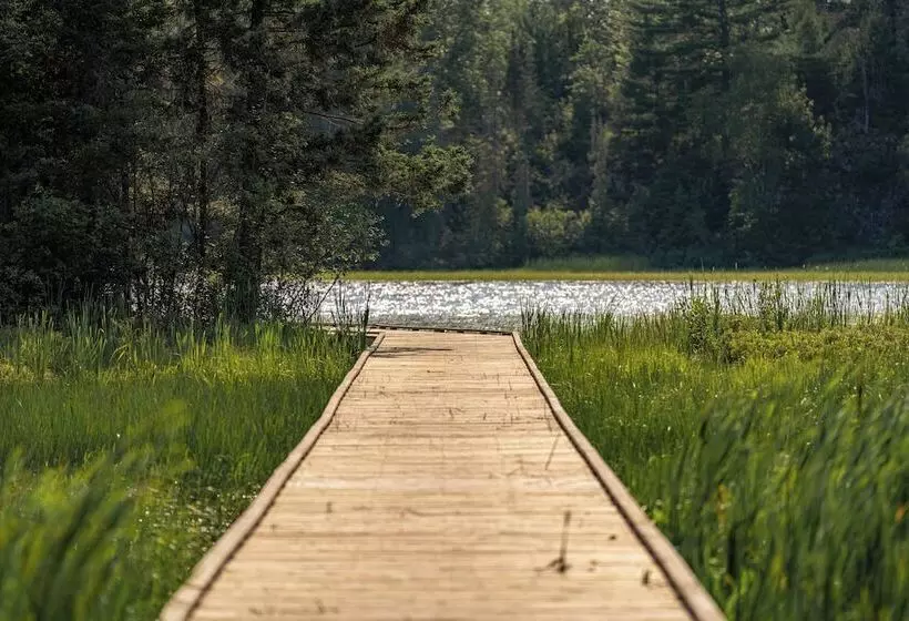 North Of North Resort