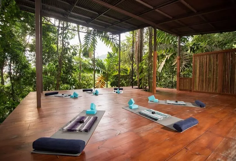 Hotelli Vista Celestial