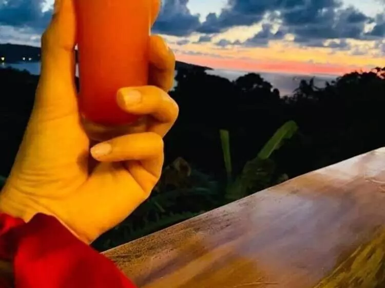 Aamiaismajoitus (B&B) Ocean And Forest View Manolo Cabins