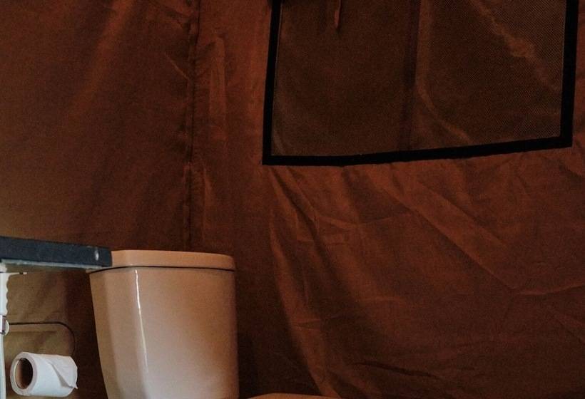 ホテル Forest Lodge Eco Camp