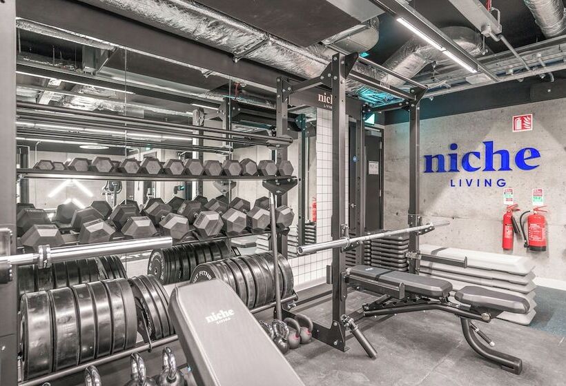 Niche Living - Rathmines