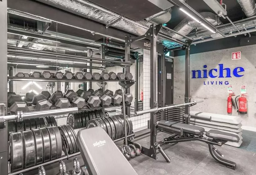 Niche Living - Rathmines
