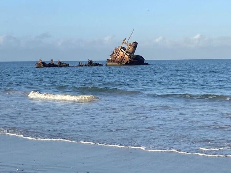 پانسیون Palmarina Sunset