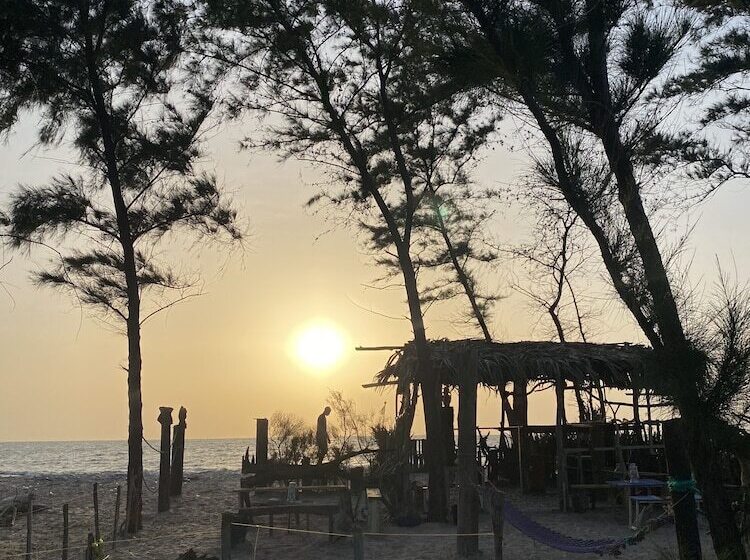 پانسیون Palmarina Sunset