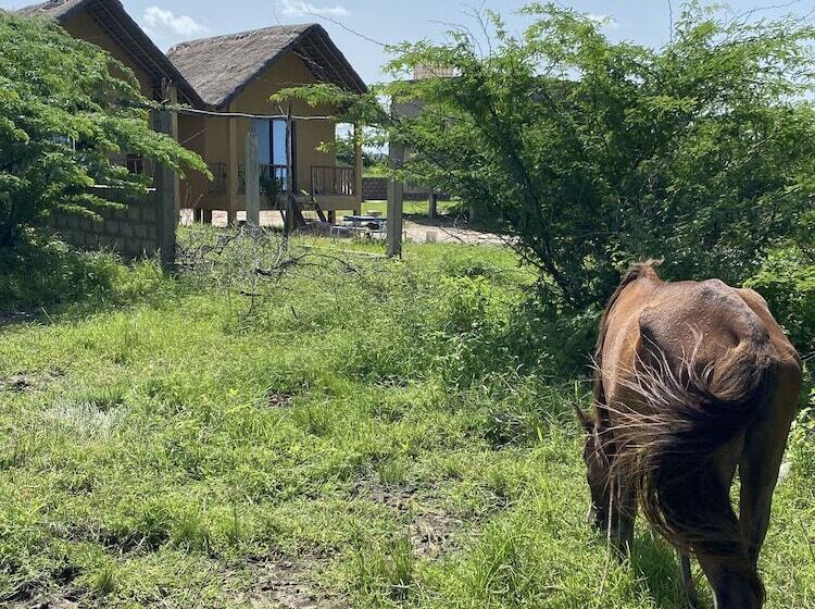 پانسیون Palmarina Sunset