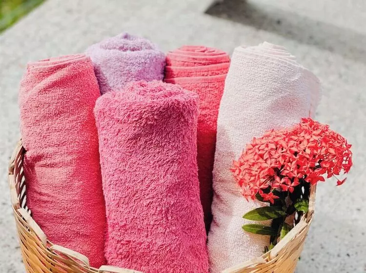 ホテル Casa Mar A Vista