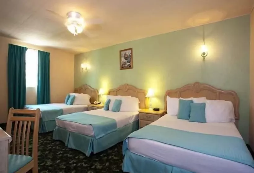 هتل Paradise Suites