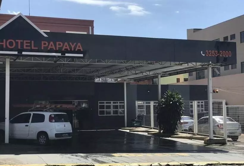 هاستل Papaya