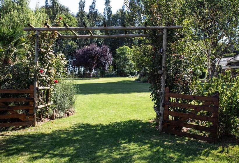 ベッドアンドブレックファースト Chikanka