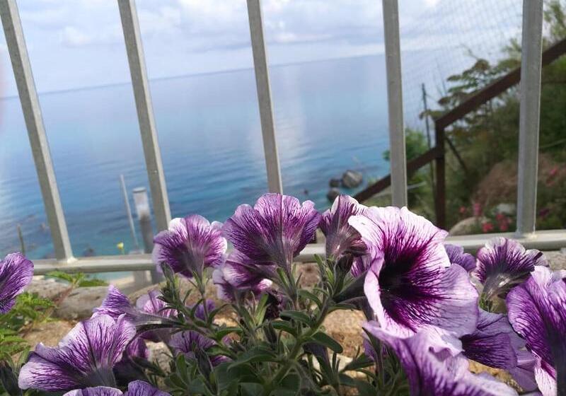 Bed and Breakfast Borgo Degli Dei  Affittacamere Poseidone