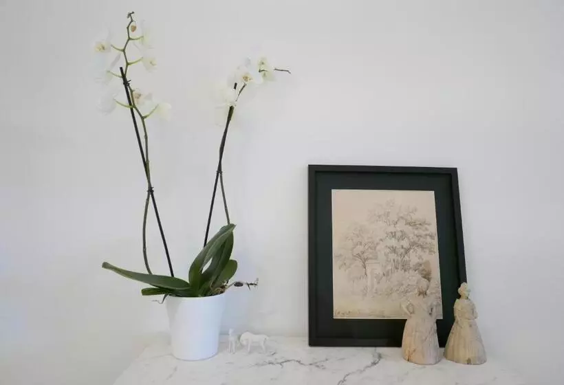 تختخواب و صبحانه Tour Sarrazine De Montaren