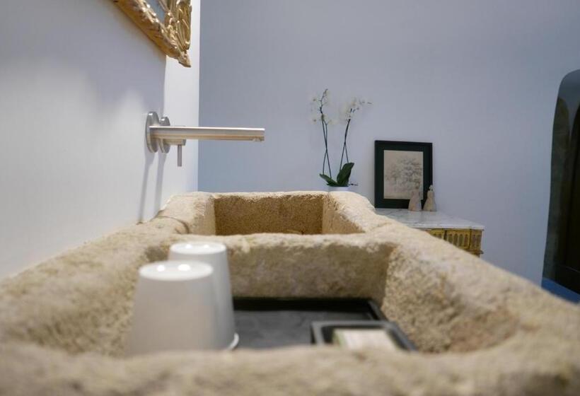 Bed and Breakfast Tour Sarrazine De Montaren