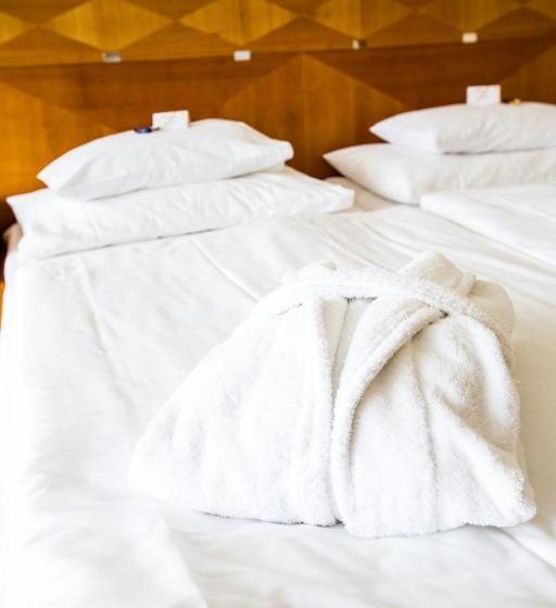 فندق Badener Hof