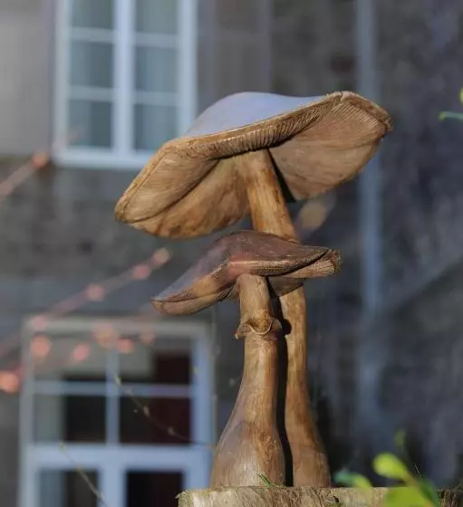 هتل Hôtel Victor Hugo