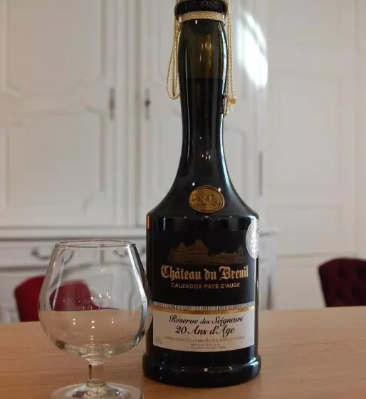 هتل Hôtel Victor Hugo
